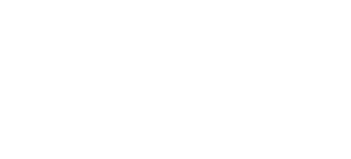 ceo
